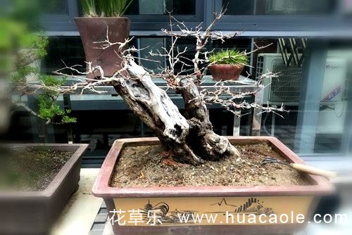 行业新闻亚洲av大精免费在线观看专业可靠，技术领先