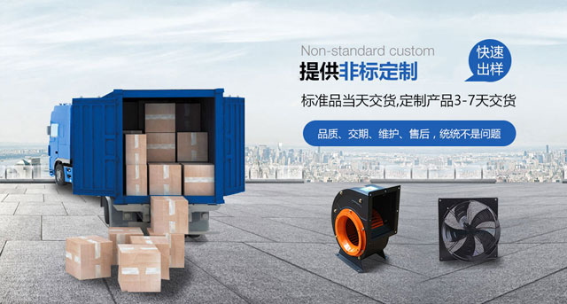 空心菜精品无码国产自在现线拍视频，平凡中的绿色记忆与生活哲理